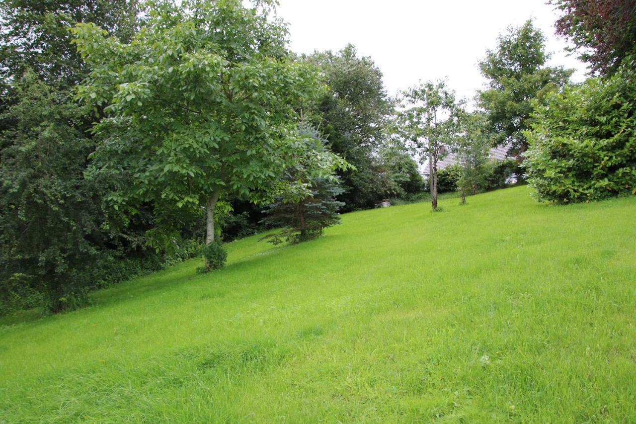 Ferienhaus Eifelnest Scheid  Buitenkant foto